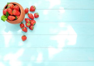 Mavi ahşap arka planda naneli kil çömlek içindeki olgun kırmızı çilek bileşimi. Taze toplanmış böğürtlen, çiçek, güneşli bir yaz günü, güneş ışığı. Üst görünüm, kapat, boşluğu kopyala