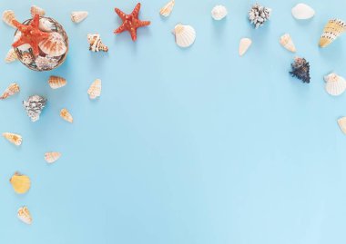 Birçok beyaz, bej, siyah egzotik deniz kabuklarının bileşimi farklı şekiller ve türler ve mavi arka planda kırmızı deniz yıldızları. Yaz reklamcılığı konsepti. Düz yat, üst görünüm, kapat, boşluğu kopyala