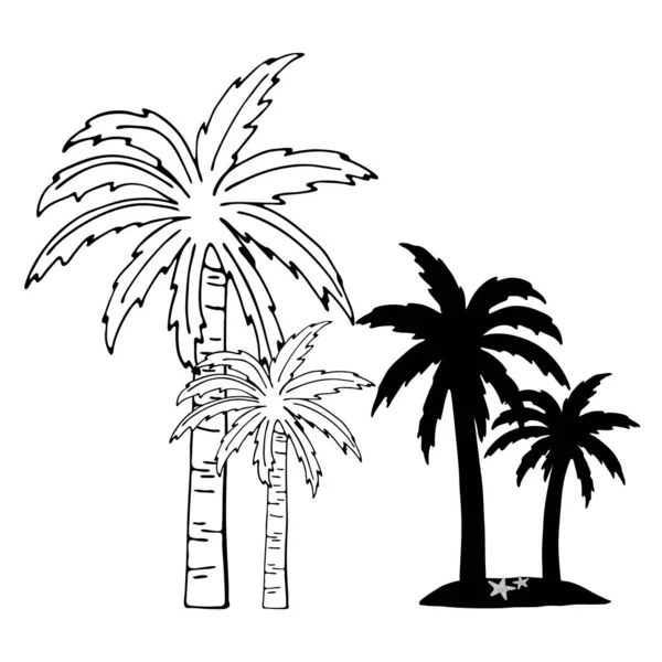 热带棕榈树 海星的手绘涂鸦草图 海岸上的棕榈树和轮廓 暑假的例子 卡通平面矢量贺卡 邀请函 — 图库矢量图片