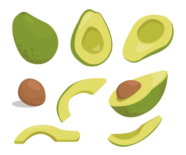 Avocado Vers Fruit Vector Illustratie Set Geheel Snijd Tweeën Snijd — Stockvector