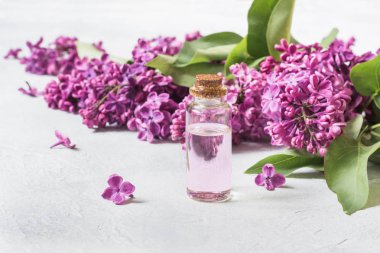 Gül suyu ve Lila çiçek, cam kavanoz kopya alanı metin için. Spa ve aromaterapi için kavram. Yakın çekim.