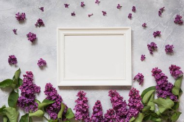 Beyaz çerçeveli mor eflatun çiçekli metin dekor olarak için. Üstten görünüm. Kopya alanı.