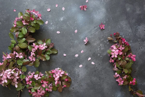 ビンテージ テーブルに開花の果物りんごの木のピンクの花。領域をコピーします。上からの眺め. — ストック写真