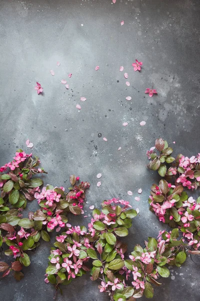 ビンテージ テーブルに開花果樹のピンクの花。領域をコピーします。上からの眺め. — ストック写真