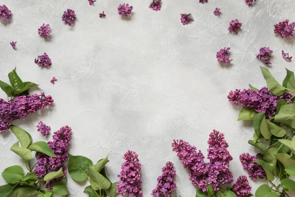 Frame of purple lilac flowers with space for text. Top view. Spring concept.