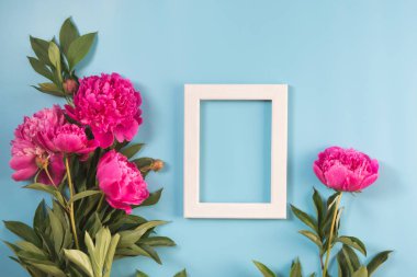 Buket güzel pembe şakayık çiçekleri ve beyaz çerçeve punchy pastel mavi metin için. Uzay kopyalayın. Üstten görünüm. Düz yatıyordu.