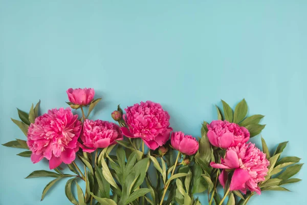 Buquê de belas flores de peônia rosa como armação em azul pastel punchy. Espaço para cópia. Vista superior. Depósito plano . — Fotografia de Stock