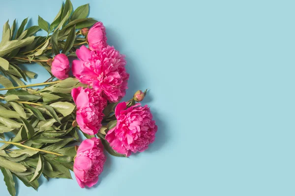 Buquê de flores de peônia rosa românticas em azul pastel punchy. Espaço para cópia. Vista superior . — Fotografia de Stock