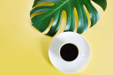 Monstera bitki ve siyah kahve sarı zemin üzerine bırakır. Uzay kopyalayın. Üstten görünüm.