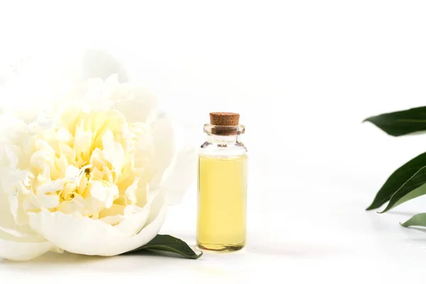 Fehér Bazsarózsa Virág Üveg Olaj Vagy Fehér Lényege Közelről Másolja — Stock Fotó