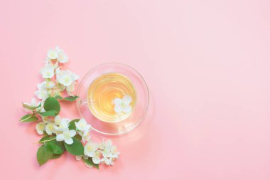 Yasemin çiçekleri ve yeşil jasmin çay pembe üzerinde. Üstten görünüm ve kavram.