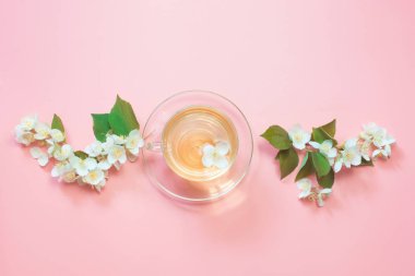 Yasemin çiçekleri ve yeşil jasmin çay pembe üzerinde. Üstten görünüm ve kavram.
