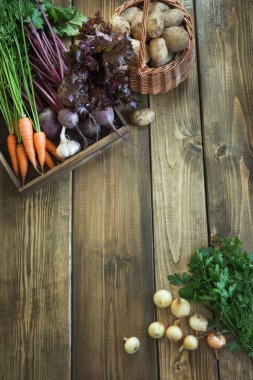 Sonbaharda hasat. Taze sebze, havuç, kırmızı pancar, soğan, sarımsak eski ahşap masa üzerinde. Üstten görünüm. Rustik tarzı kopya alanı