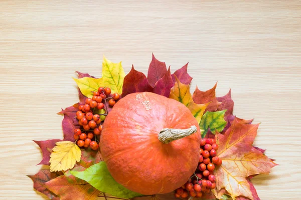 Pumpkin Autumn Leaves Rowanberry Wooden Plank Copy Space Fall Concept — Stock Photo, Image