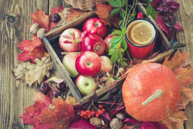 Sonbaharda hasat, kabak, elma sepeti ahşap tahta üzerinde renkli sonbahar yaprakları. Sonbahar natürmort, vintage tarzı. Üstten Görünüm.