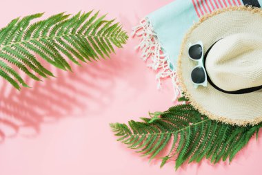 Tek yaprak fern gölgeli ve tropikal detoks su kireç pastel pembe arka plan ile. Üstten görünüm kopya alanı ile. Yaz konsepti.