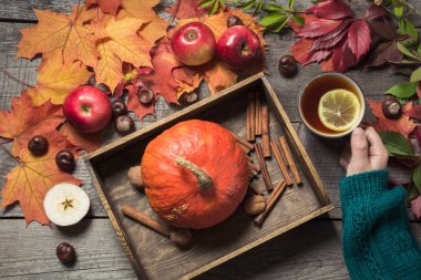 Çay el dekorlu kabak, elma ve sonbahar yaprakları ahşap tahta üzerinde sıcak. Üstten görünüm.