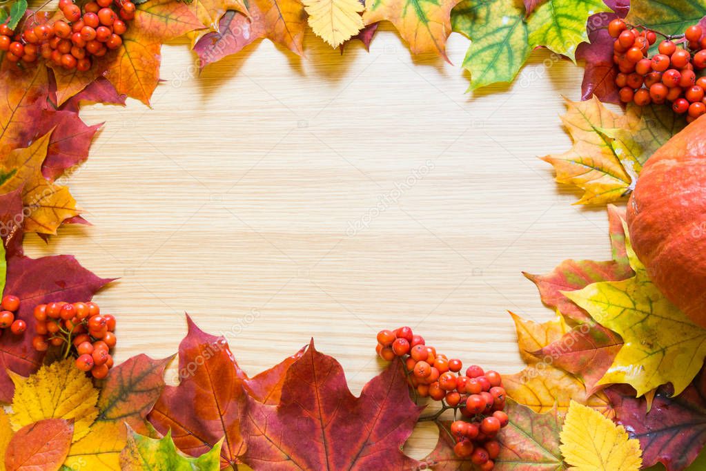 Border of autumn leaves, pumpkin and rowanberry on wooden board. Copy space. Fall concept.