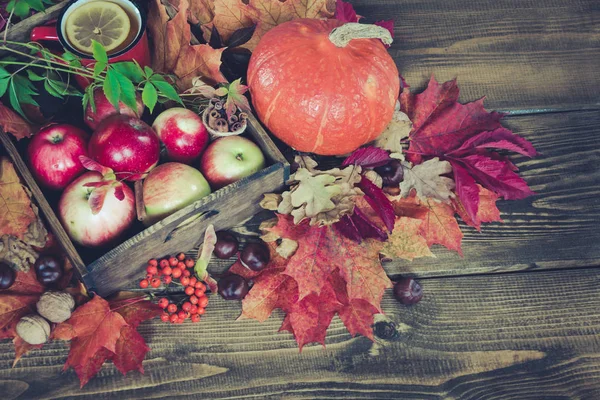 Colheita de outono, abóbora, maçãs na cesta, folhas de outono na tábua de madeira. Queda ainda vida, estilo vintage. Vista superior . — Fotografia de Stock