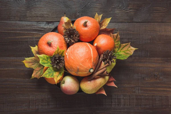 Outono Ainda Vida Com Folhas Coloridas Abóboras Laranja Maduras Maçãs — Fotografia de Stock