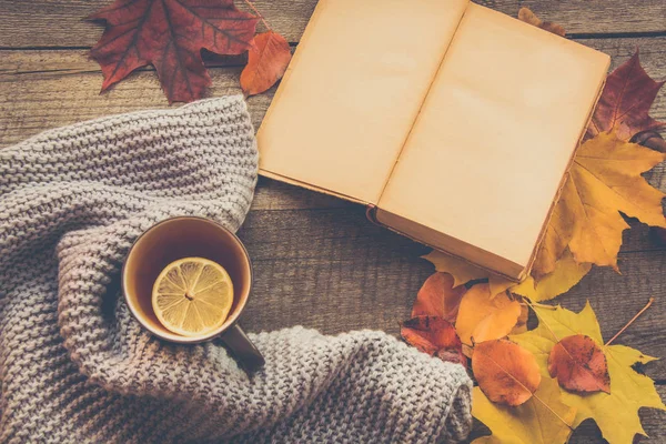 Fincan çay, rahat örme eşarp, sonbahar yaprakları, ahşap tahta üzerinde açık kitap.
