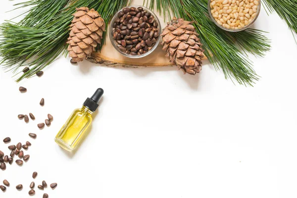 Cedar oil, branches and cedar cone on white background. Copy space. Beauty and healthy concept.
