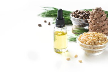 Cedar oil, branches and cedar cone on white background. Copy space. Beauty and healthy concept. Close up. clipart