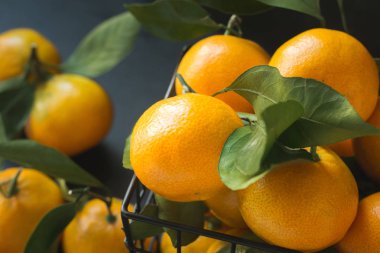 Taze mandalina yaprakları siyah ile. Sağlıklı beslenme kavramı. Yakın çekim.