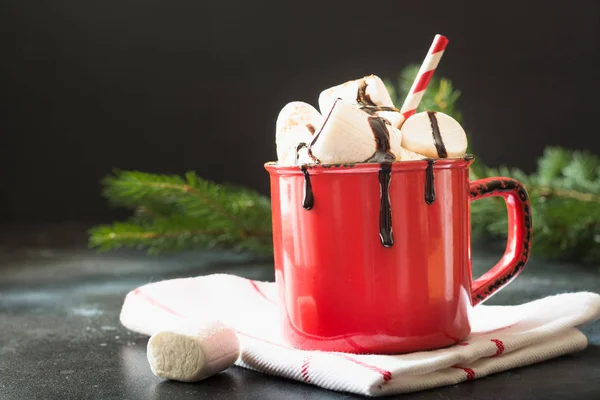 Becher Mit Heißer Schokolade Und Kakao Mit Marshmallows Und Tannenzweigen — Stockfoto