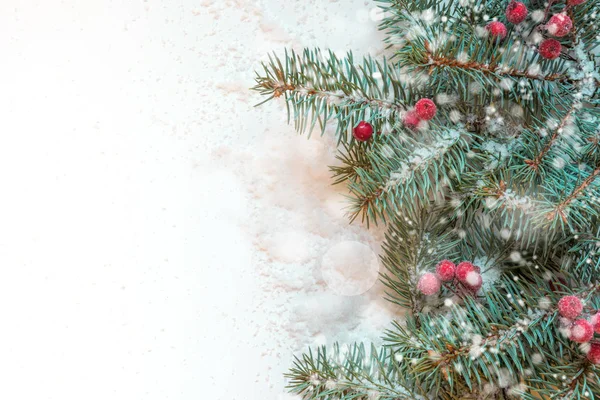 Weihnachtskomposition aus immergrünen Zweigen und Stechpalmen auf weißem Grund. Urlaubskarte mit Kopierplatz. Frohe Weihnachten und ein gutes neues Jahr. — Stockfoto