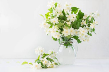 Cam vazo içinde sunulan Yasemin çiçekleri güzel buket. Uzay kopyalayın. Hediye anneler günü.