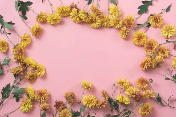 Flores de margarita dorada como borde sobre fondo rosa pastel. Patrón floral . —  Fotos de Stock