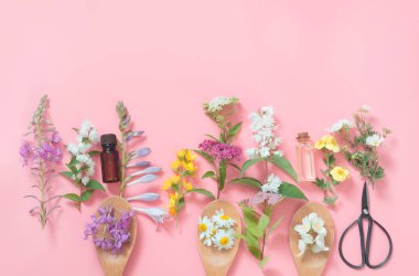 Farklı çayır kır çiçekleri pembe bir arka plan üzerinde. Çiçek kompozisyon kopya alanı ile. Yukarıdan görüntüleyin. Spa konsept.