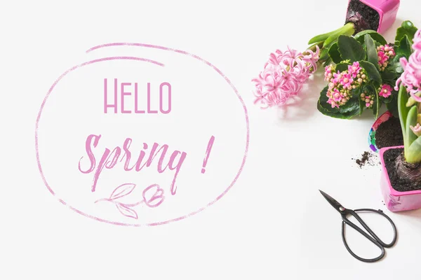 Spring Gardening Concept Pink Kalanchoe Hyacinths Tools White Space Text — Stock Photo, Image