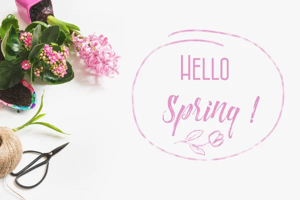 Spring Gardening Concept Pink Kalanchoe Hyacinths Tools White Space Text — Stock Photo, Image