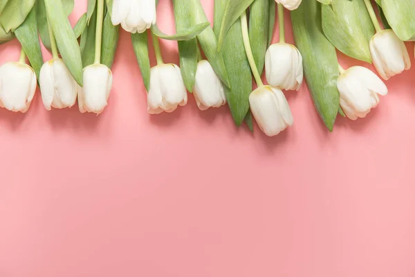 Fronteira de tulipa branca em rosa milenar. Vista superior com espaço de cópia . — Fotografia de Stock