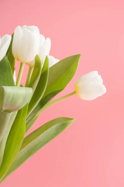 Ramo de tulipán blanco en rosa milenario . — Foto de Stock