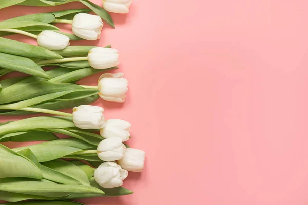 Frontera de tulipán blanco en rosa milenario. Vista superior con espacio de copia . — Foto de Stock