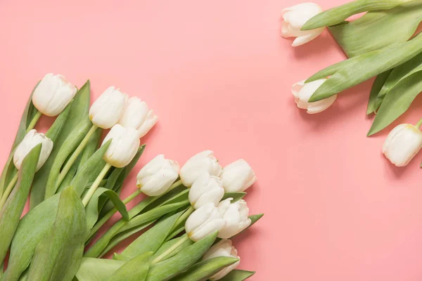 Frontera de tulipán blanco en rosa milenario. Vista superior con espacio de copia . — Foto de Stock