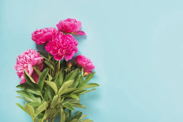 Buquê Belas Flores Peônia Rosa Como Moldura Fundo Azul Pastel — Fotografia de Stock