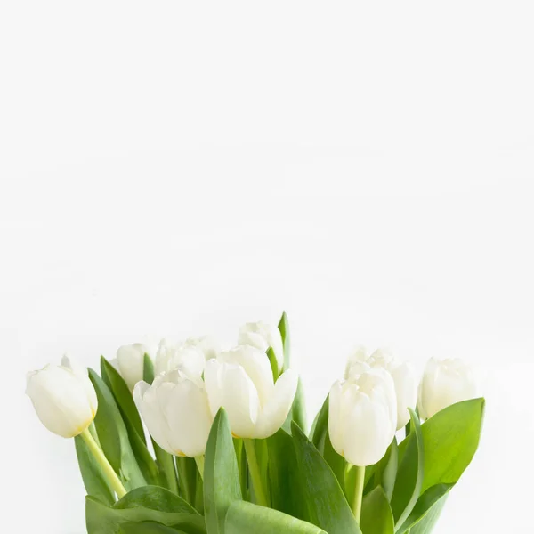 Bouquet of white tulip on white. Floral pattern. Space for text.