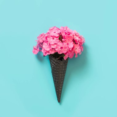 Pembe phlox çiçek mavi arka plan üzerinde gözleme koni. . Yaratıcı yaz konsepti.