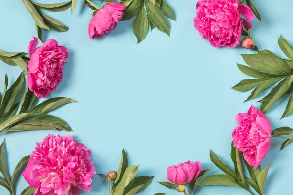 Hermosas Flores Peonía Rosa Como Marco Sobre Fondo Azul Pastel — Foto de Stock