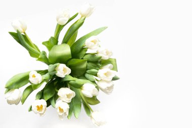 Beyaz Beyaz Lale buketi. Çiçek desenli. Yakın çekim.