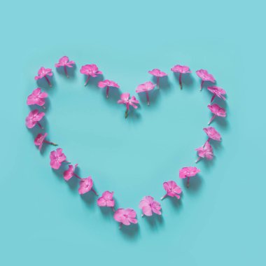 Pembe phlox çiçek çiçek yaratıcı desenli mavi kalp bırakır. Düz yatıyordu.