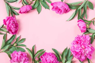 Güzel pembe Şakayık çiçekleri kenarlığını punchy pastel pembe arka plan karede olarak. Metin için yer kopyalayın. Üstten Görünüm. Düz yatıyordu.