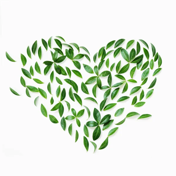 Earth Day Concept Floral Pattern Green Leaves Heart White Flat — Stock Photo, Image