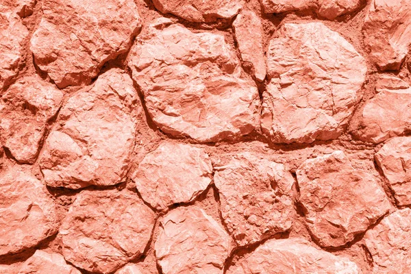 Texture Stone Wall Clored Living Coral Pattern — Stock Photo, Image