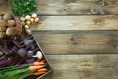 Havuç, kırmızı pancar, soğan, sarımsak eski ahşap tahta üzerinde taze sebze hasat. Üstten Görünüm, rustik tarzı. Sonbahar natürmort. Bahçe. Kopya alanı.