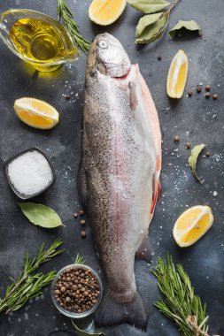 Lezzetli alabalık ile otlar, baharatlar gri arka plan üzerinde. Sağlıklı gıda. Pişirme kavramı.